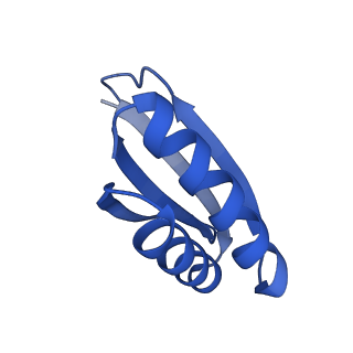 4595_6qn1_FU_v1-2
T=4 quasi-symmetric bacterial microcompartment particle