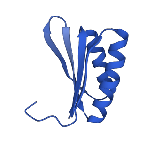 4595_6qn1_HU_v1-2
T=4 quasi-symmetric bacterial microcompartment particle