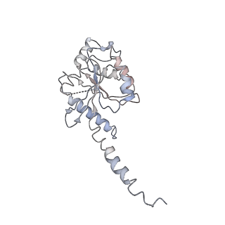 4598_6qno_A_v1-0
Rhodopsin-Gi protein complex