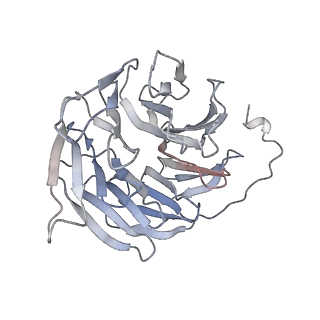 4598_6qno_B_v1-0
Rhodopsin-Gi protein complex