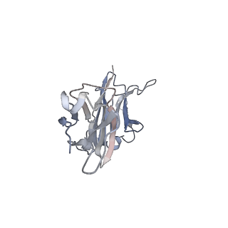 4598_6qno_H_v1-0
Rhodopsin-Gi protein complex