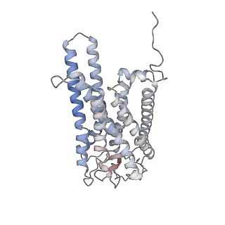 4598_6qno_R_v2-0
Rhodopsin-Gi protein complex