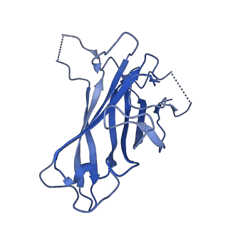 4608_6qnt_B_v1-2
Human Adenovirus type 3 fiber knob in complex with one copy of Desmoglein-2