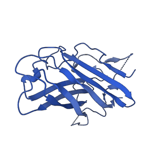 4608_6qnt_C_v1-2
Human Adenovirus type 3 fiber knob in complex with one copy of Desmoglein-2