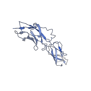 4608_6qnt_D_v1-2
Human Adenovirus type 3 fiber knob in complex with one copy of Desmoglein-2