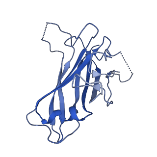 4609_6qnu_B_v1-3
Human Adenovirus type 3 fiber knob in complex with two copies of Desmoglein-2