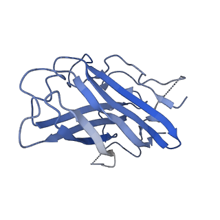 4609_6qnu_C_v1-3
Human Adenovirus type 3 fiber knob in complex with two copies of Desmoglein-2