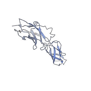 4609_6qnu_D_v1-3
Human Adenovirus type 3 fiber knob in complex with two copies of Desmoglein-2