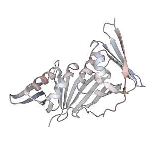 14080_7qo1_F_v1-0
complex of DNA ligase I and FEN1 on PCNA and DNA