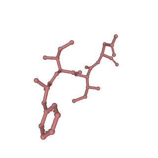 14098_7qoo_C_v1-1
Structure of the human inner kinetochore CCAN complex