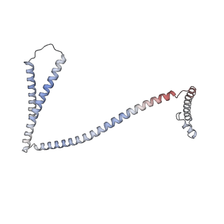 14098_7qoo_H_v1-1
Structure of the human inner kinetochore CCAN complex