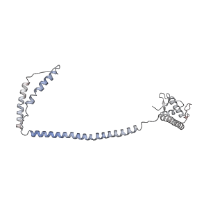 14098_7qoo_K_v1-1
Structure of the human inner kinetochore CCAN complex