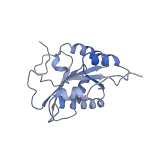 14098_7qoo_M_v1-1
Structure of the human inner kinetochore CCAN complex
