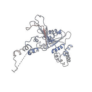 14098_7qoo_N_v1-1
Structure of the human inner kinetochore CCAN complex