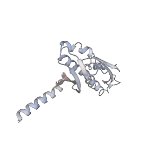 14098_7qoo_O_v1-1
Structure of the human inner kinetochore CCAN complex