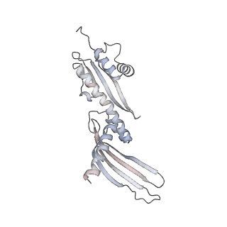 14098_7qoo_P_v1-1
Structure of the human inner kinetochore CCAN complex