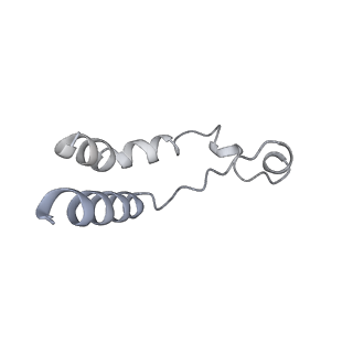 14098_7qoo_R_v1-1
Structure of the human inner kinetochore CCAN complex