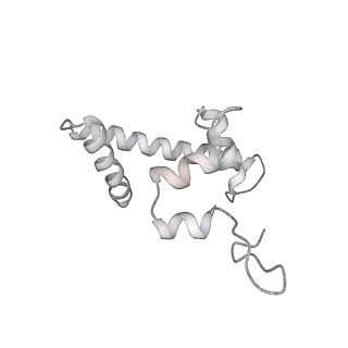 14098_7qoo_T_v1-1
Structure of the human inner kinetochore CCAN complex