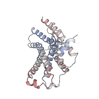 18541_8qot_A_v1-0
Structure of the mu opioid receptor bound to the antagonist nanobody NbE