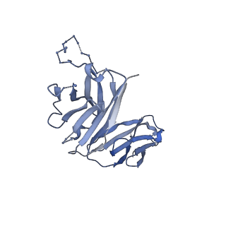 18541_8qot_H_v1-0
Structure of the mu opioid receptor bound to the antagonist nanobody NbE