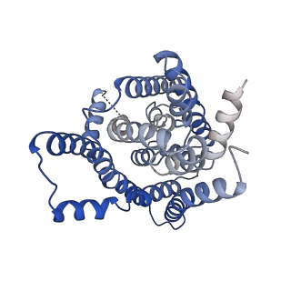 14116_7qpa_A_v1-2
Outward-facing auxin bound form of auxin transporter PIN8