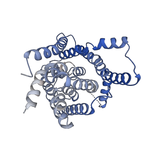 14116_7qpa_B_v1-2
Outward-facing auxin bound form of auxin transporter PIN8
