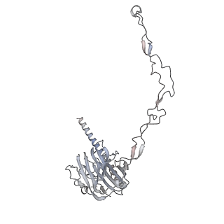 14119_7qpd_C_v1-1
Structure of the human MHC I peptide-loading complex editing module