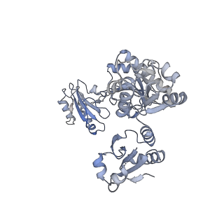 14119_7qpd_E_v1-1
Structure of the human MHC I peptide-loading complex editing module