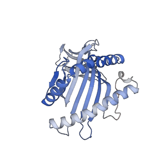 14119_7qpd_M_v1-1
Structure of the human MHC I peptide-loading complex editing module