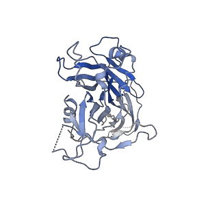 14119_7qpd_T_v1-1
Structure of the human MHC I peptide-loading complex editing module