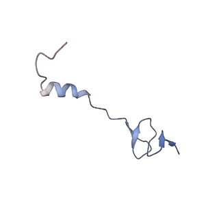 18558_8qpp_0_v1-2
Bacillus subtilis MutS2-collided disome complex (stalled 70S)