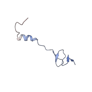 18558_8qpp_0_v1-3
Bacillus subtilis MutS2-collided disome complex (stalled 70S)