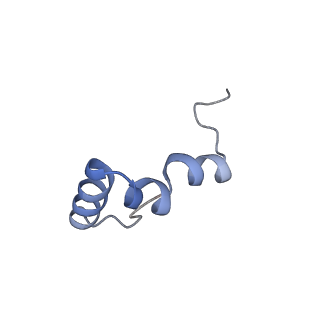 18558_8qpp_2_v1-2
Bacillus subtilis MutS2-collided disome complex (stalled 70S)