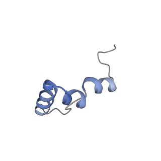 18558_8qpp_2_v1-3
Bacillus subtilis MutS2-collided disome complex (stalled 70S)