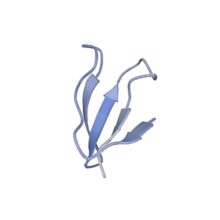 18558_8qpp_4_v1-3
Bacillus subtilis MutS2-collided disome complex (stalled 70S)