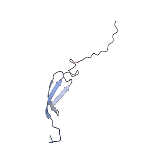 18558_8qpp_6_v1-2
Bacillus subtilis MutS2-collided disome complex (stalled 70S)