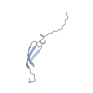 18558_8qpp_6_v1-3
Bacillus subtilis MutS2-collided disome complex (stalled 70S)