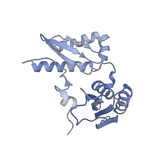 18558_8qpp_C_v1-2
Bacillus subtilis MutS2-collided disome complex (stalled 70S)