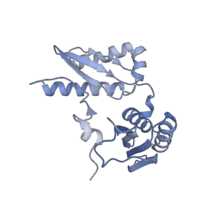 18558_8qpp_C_v1-3
Bacillus subtilis MutS2-collided disome complex (stalled 70S)