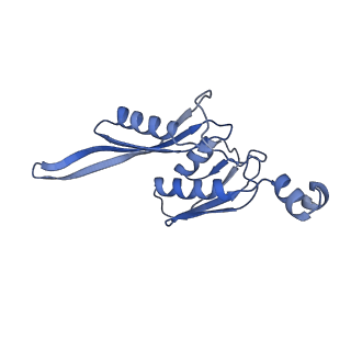 18558_8qpp_E_v1-3
Bacillus subtilis MutS2-collided disome complex (stalled 70S)