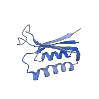 18558_8qpp_F_v1-3
Bacillus subtilis MutS2-collided disome complex (stalled 70S)