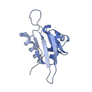 18558_8qpp_H_v1-2
Bacillus subtilis MutS2-collided disome complex (stalled 70S)