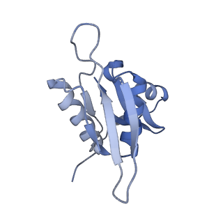 18558_8qpp_H_v1-3
Bacillus subtilis MutS2-collided disome complex (stalled 70S)