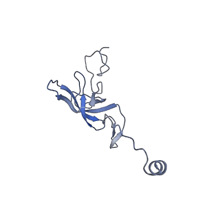 18558_8qpp_L_v1-2
Bacillus subtilis MutS2-collided disome complex (stalled 70S)