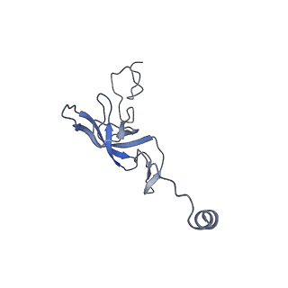 18558_8qpp_L_v1-3
Bacillus subtilis MutS2-collided disome complex (stalled 70S)