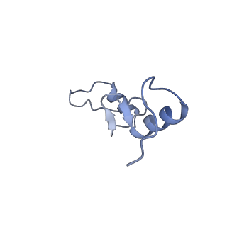 18558_8qpp_N_v1-2
Bacillus subtilis MutS2-collided disome complex (stalled 70S)