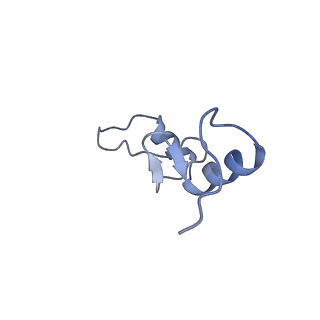 18558_8qpp_N_v1-3
Bacillus subtilis MutS2-collided disome complex (stalled 70S)