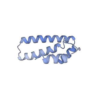 18558_8qpp_O_v1-2
Bacillus subtilis MutS2-collided disome complex (stalled 70S)