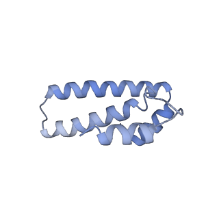 18558_8qpp_O_v1-3
Bacillus subtilis MutS2-collided disome complex (stalled 70S)