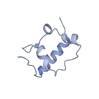 18558_8qpp_R_v1-2
Bacillus subtilis MutS2-collided disome complex (stalled 70S)